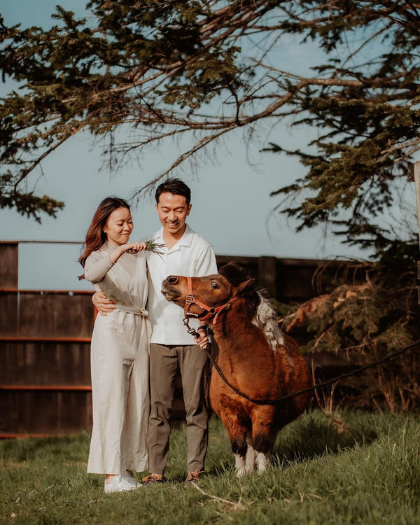 浪漫北海道：Hin 的獨家小馬農場兩小時愛情攝影體驗