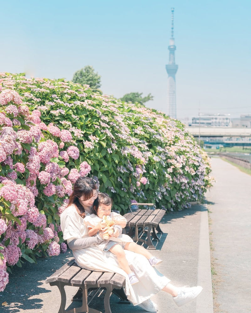 與Shi一起，在東京繡球花海留下珍貴親子回憶