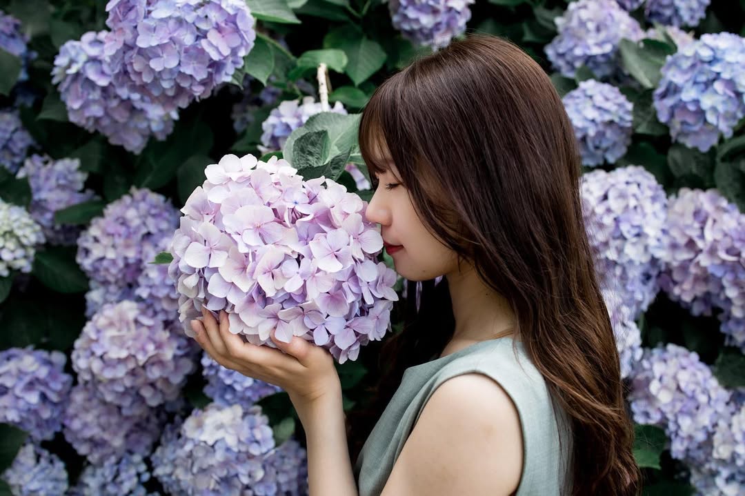 東京繡球花夢幻寫真：Yuriko捕捉你的浪漫瞬間