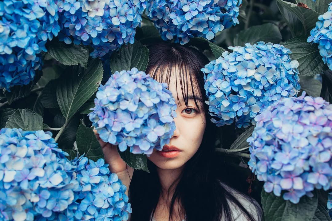 東京繡球花夢幻寫真：Yuriko捕捉你的浪漫瞬間