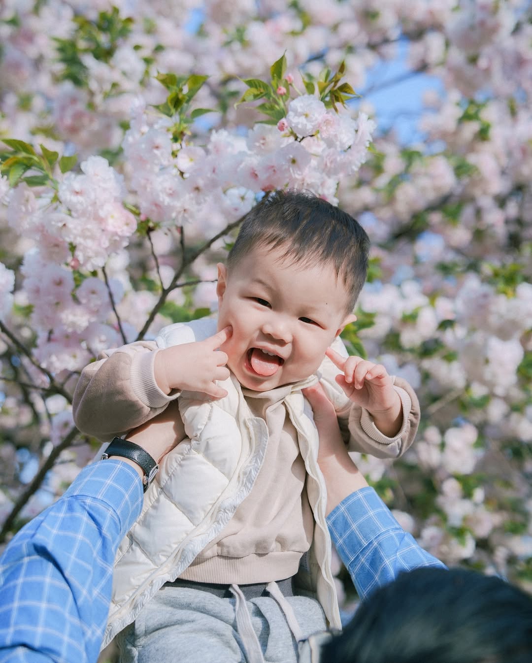 想留下最美的東京河津櫻家庭照？找Mimi就對了！