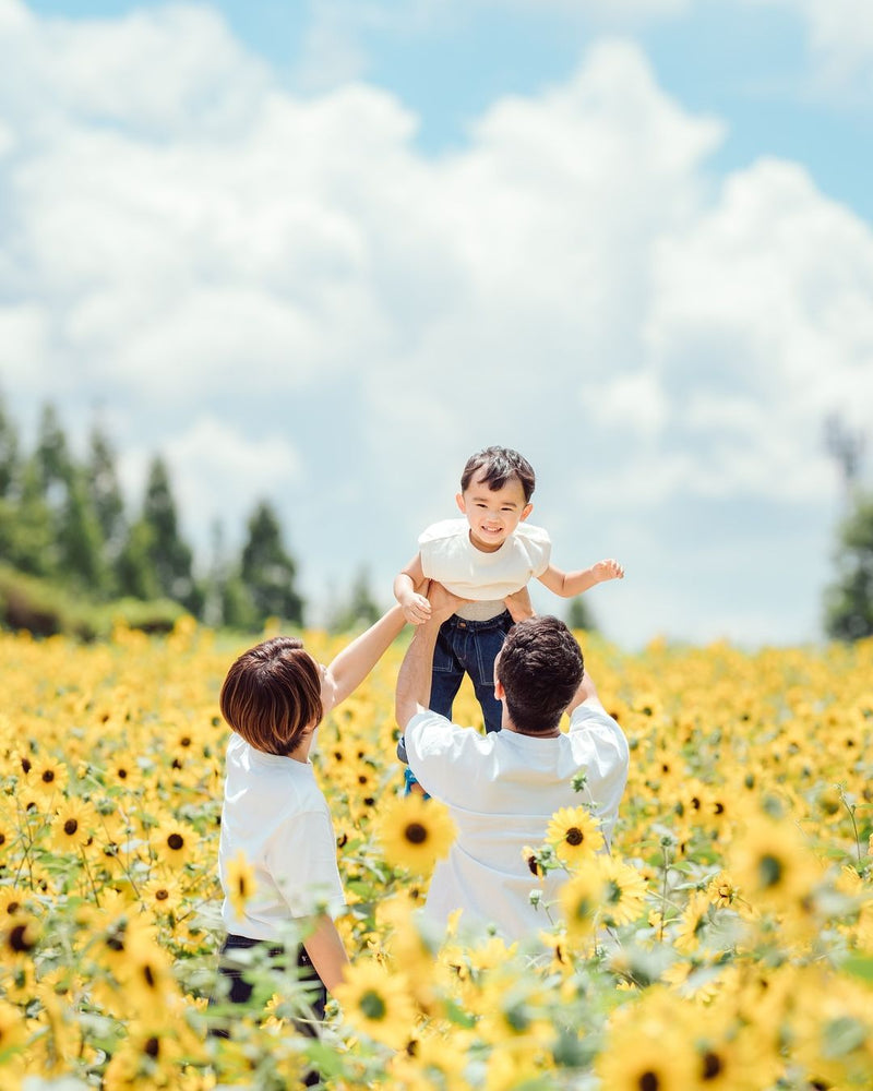 向日葵花海：與Ericka共賞廣島夏日風情