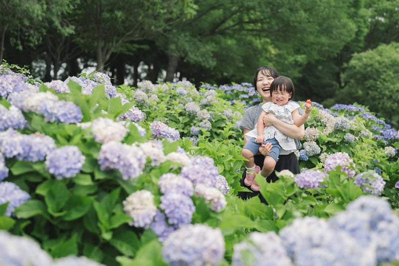 名古屋繡球花夢幻之旅：Akkina浪漫攝影