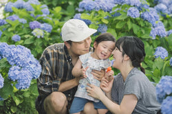 名古屋繡球花夢幻之旅：Akkina浪漫攝影