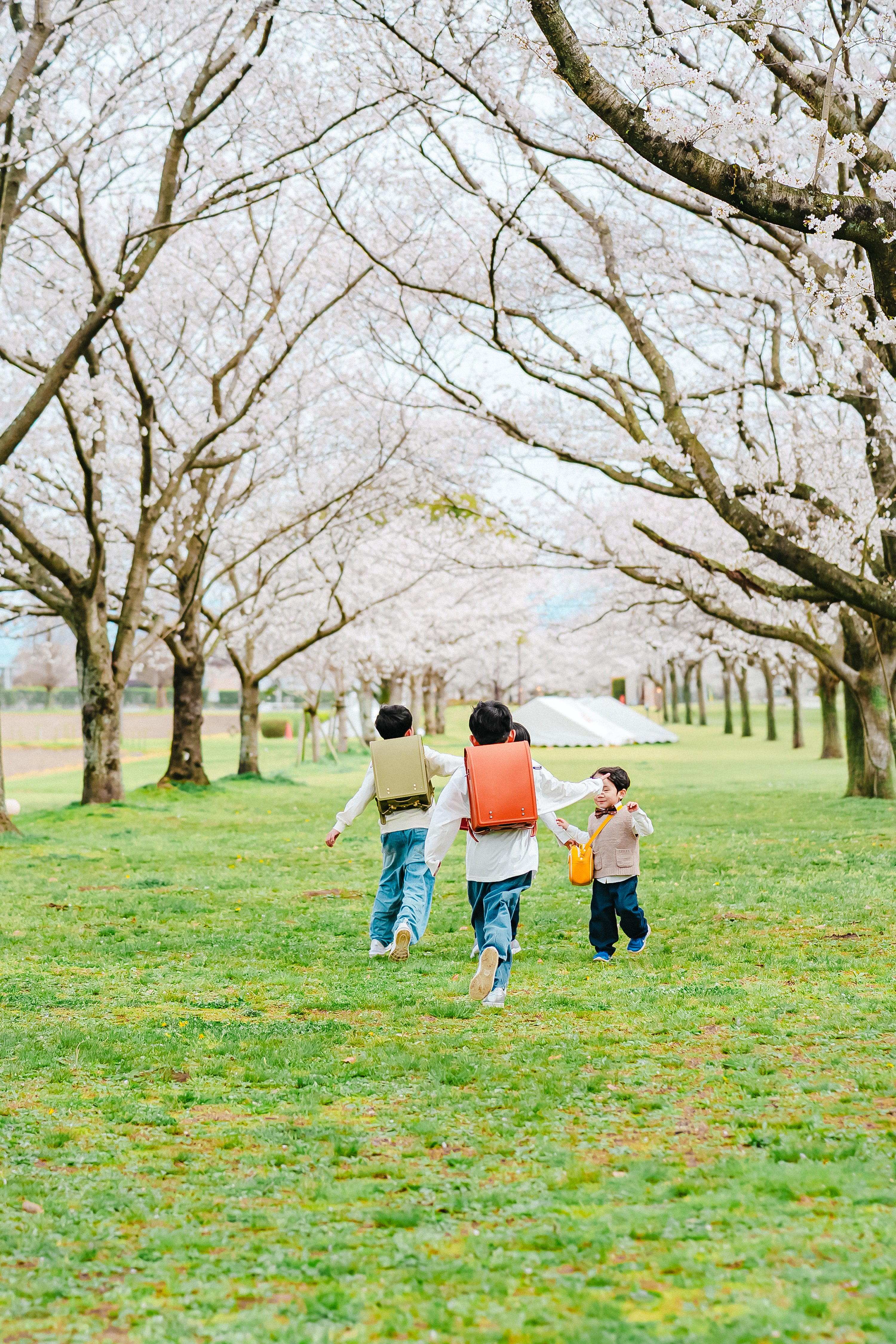 櫻花盛開的福岡時光：與 Ishii 一起留下家庭回憶