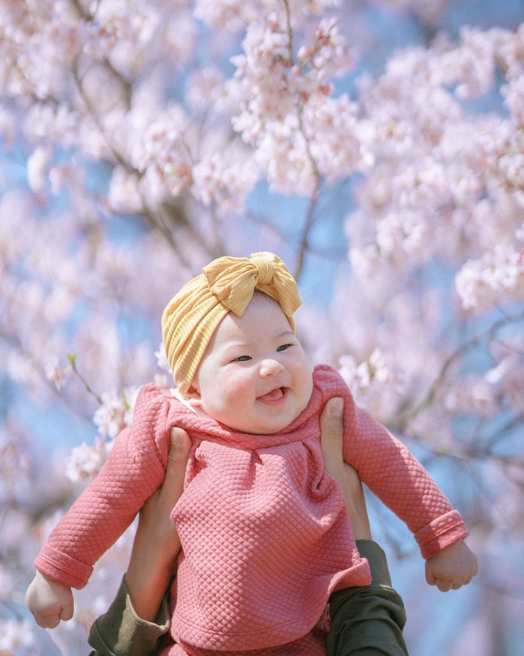 想留下最美的東京河津櫻家庭照？找Mimi就對了！