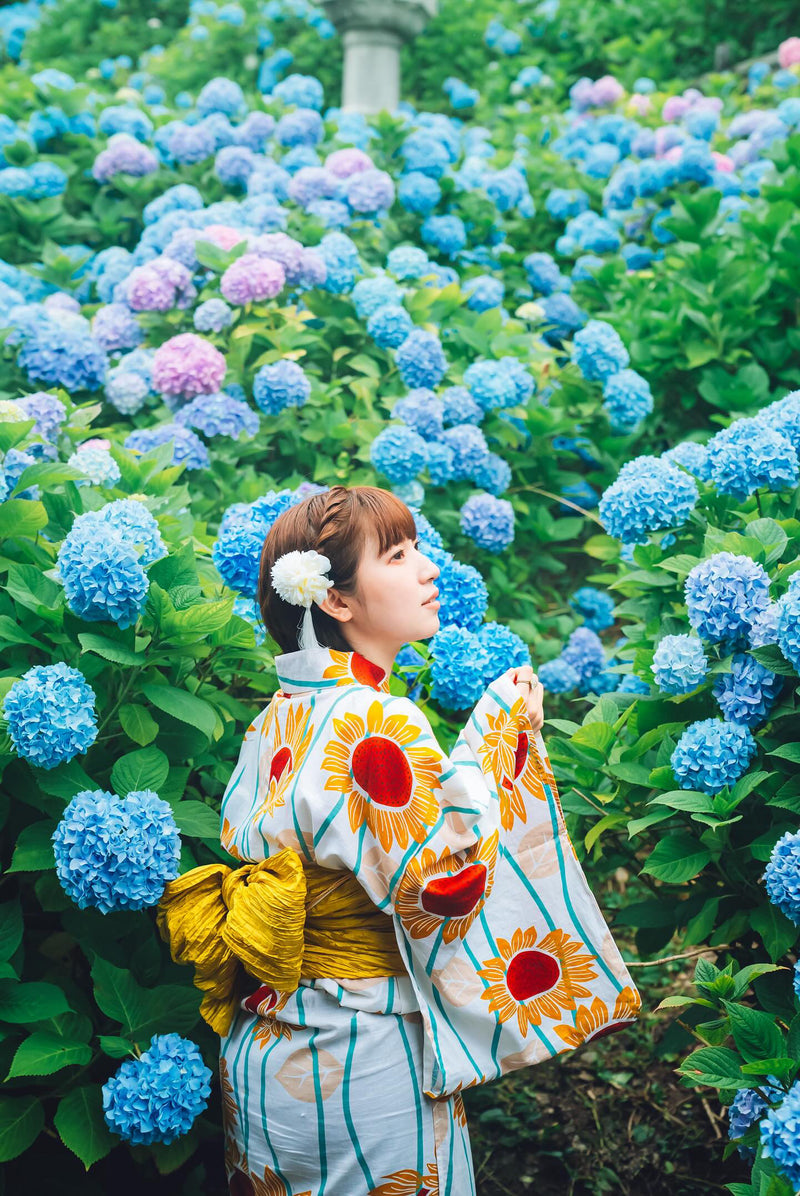 札幌中島公園攝影 | 日本櫻花花攝影