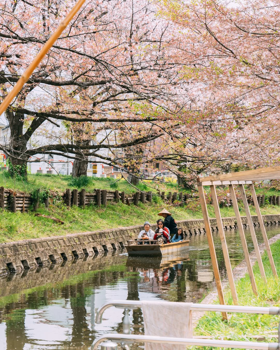 把台灣的日常變成回憶：Frank 為你記錄每一刻