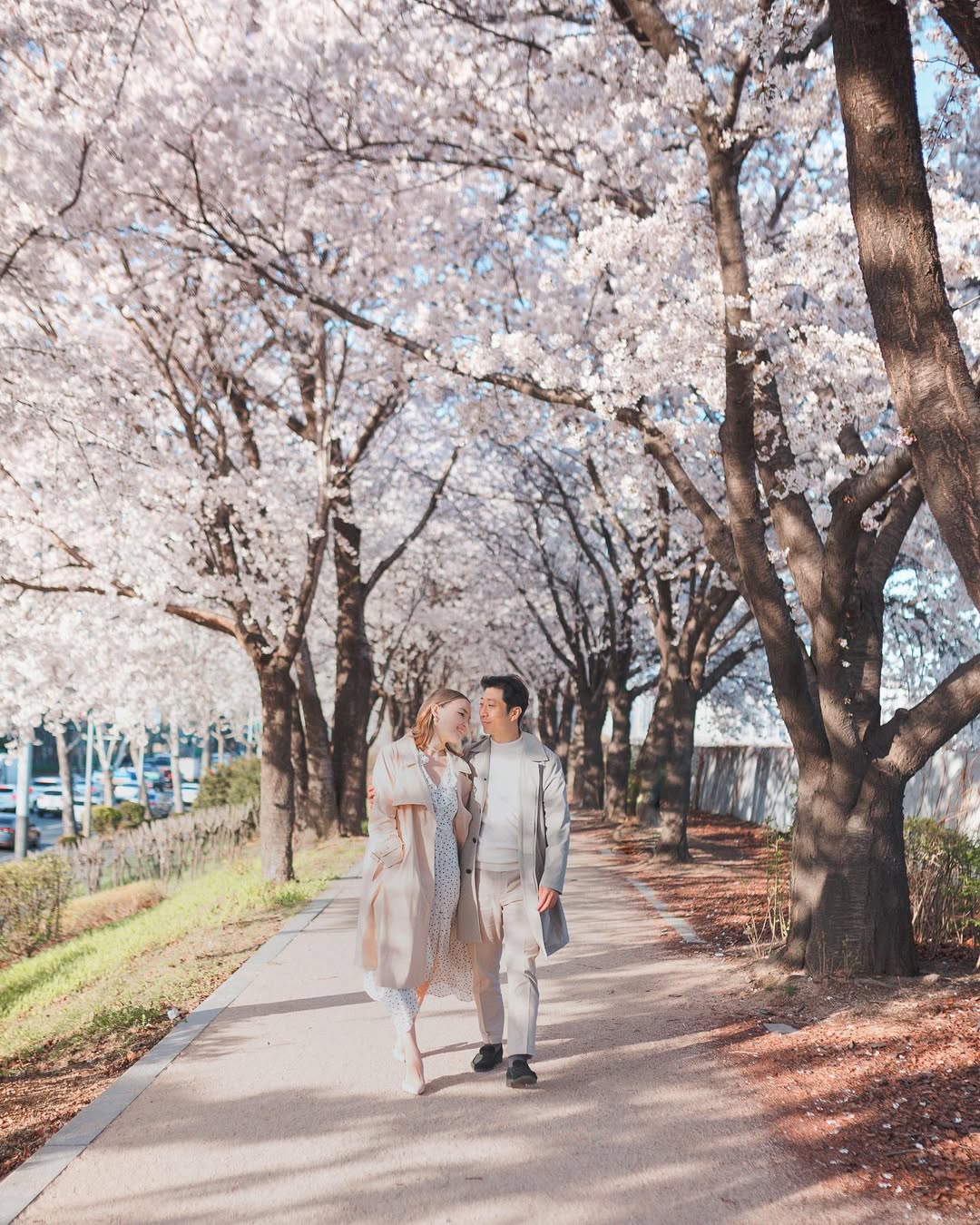 大手牽小爪：Olga 首爾情侶與毛孩寫真