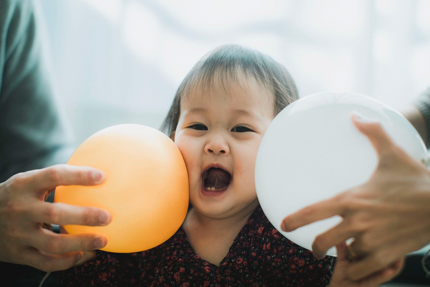 光影下的高松家庭詩篇   | 攝影師Hana 鏡頭下的家族日和