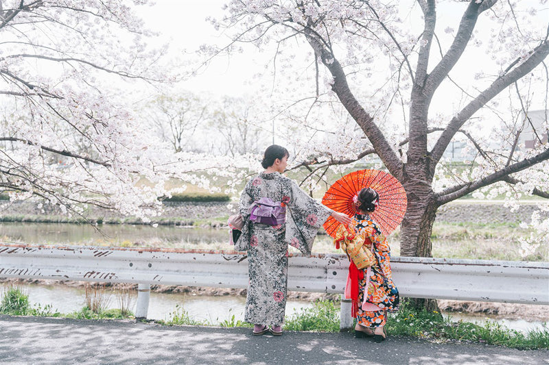 大阪道頓堀攝影 | 日本春攝影之旅