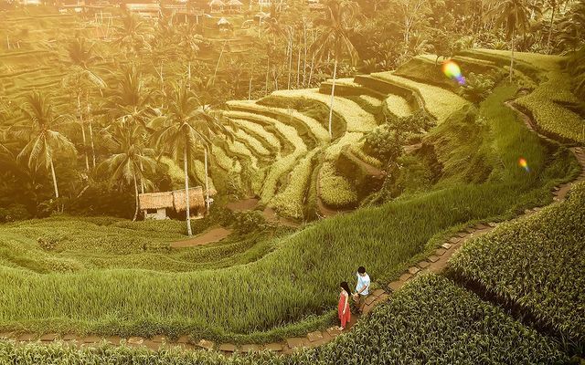 Bali Female Photographer | Alas Harum Bali Photoshoot