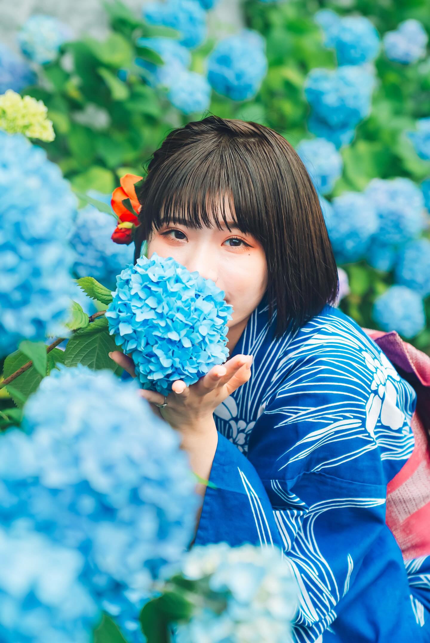 札幌中島公園攝影 | 日本櫻花花攝影