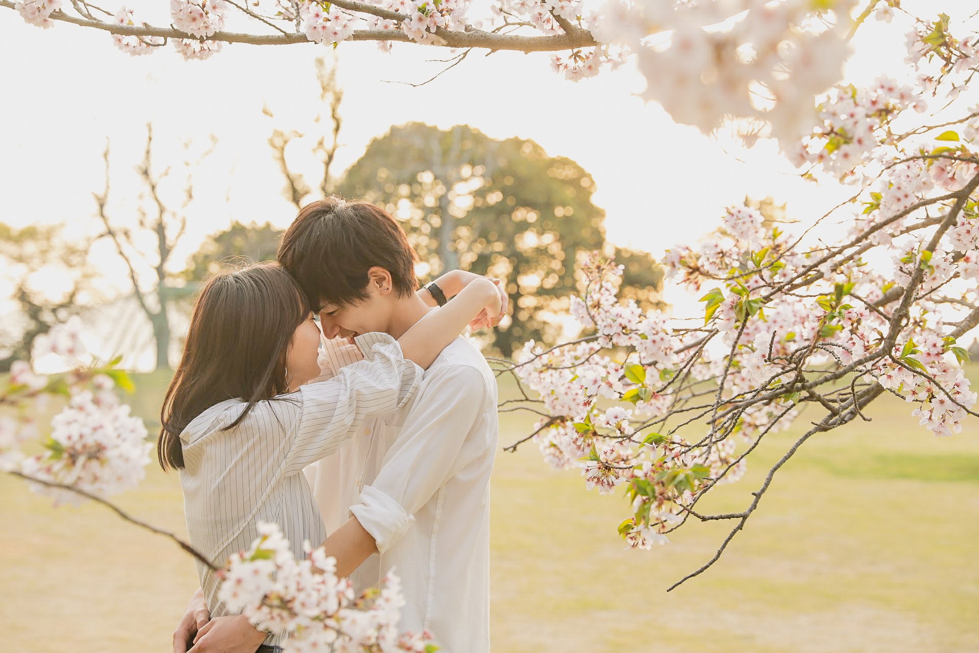 情感寫真：Ishii鏡頭下的福岡愛侶故事