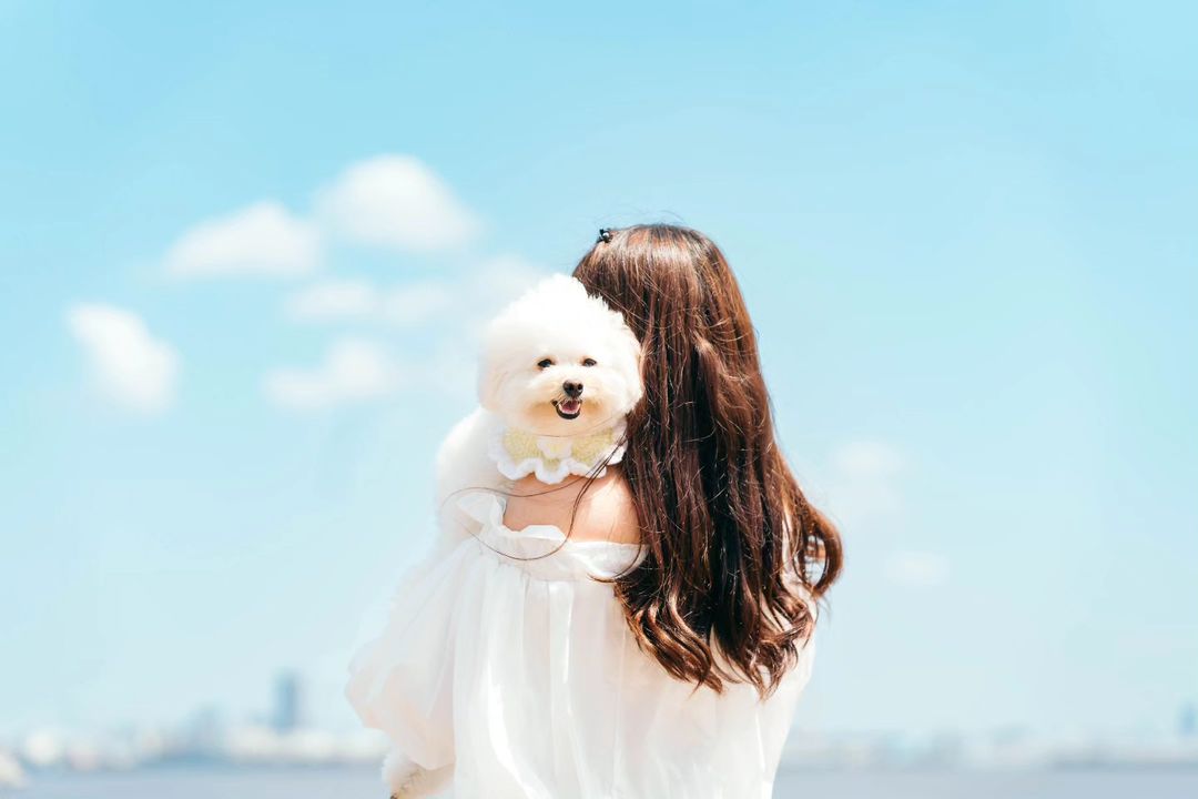 家庭寵物時光｜東京神社樂園｜親子寵物歡樂
Family Pet Lifestyle | Tokyo Shrine Garden | Owner & Pet Joyful Moments