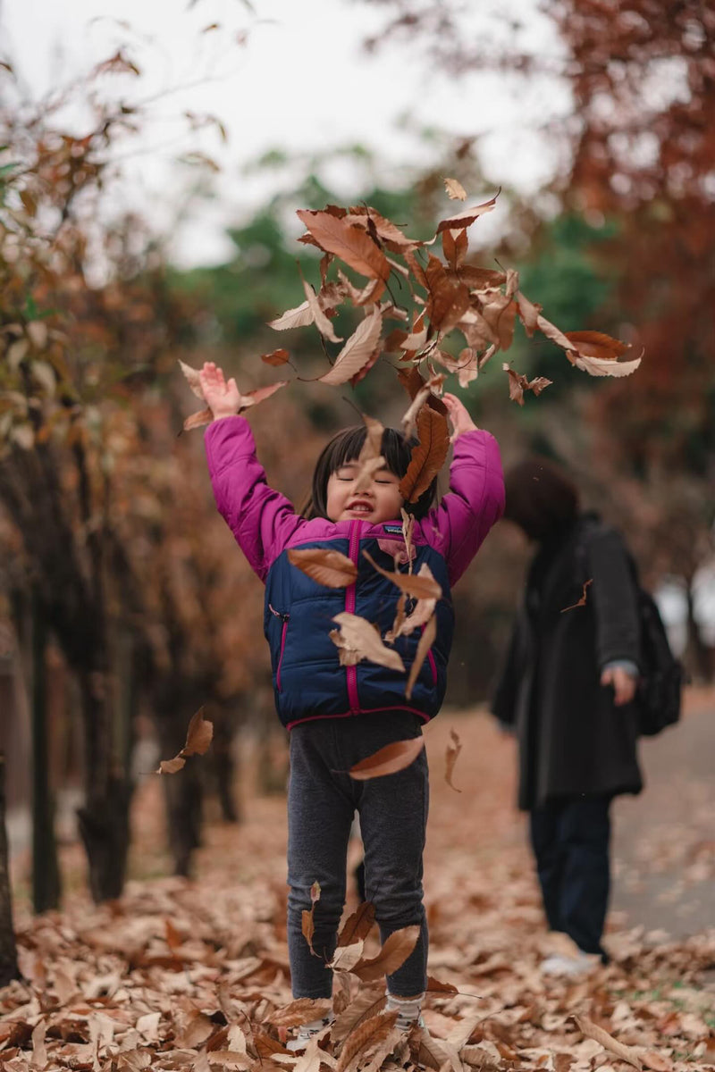 2024年11月21日 | 大阪桃山公園 | Yumiko秋季紅葉撮影會