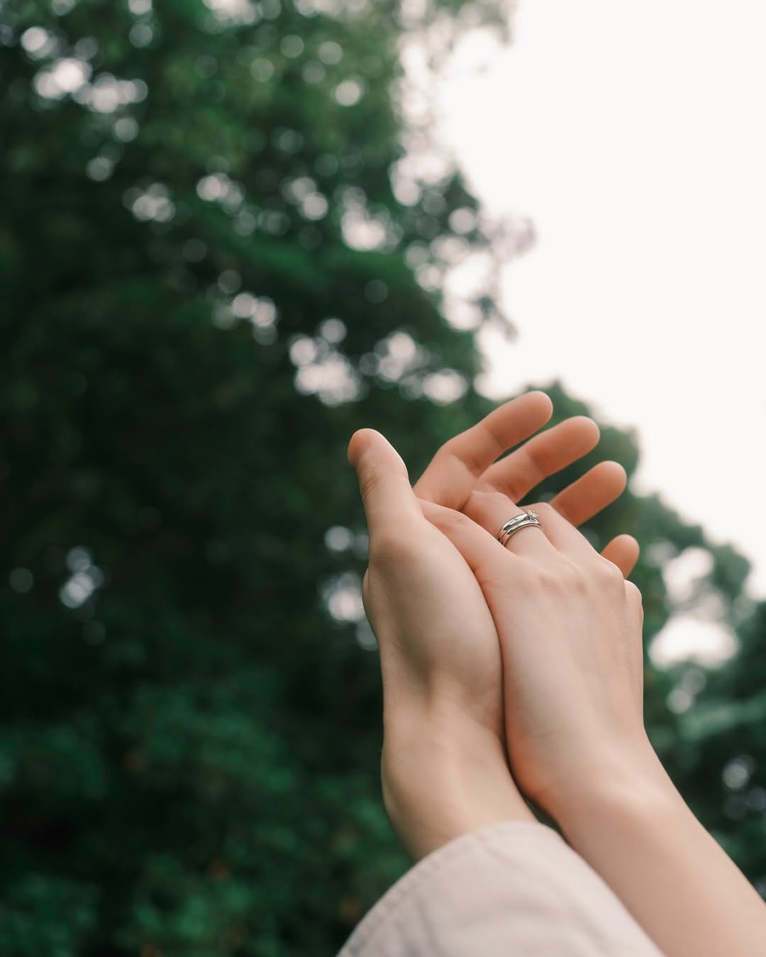 永恆的起點：與Misan一起記錄埼玉求婚時刻