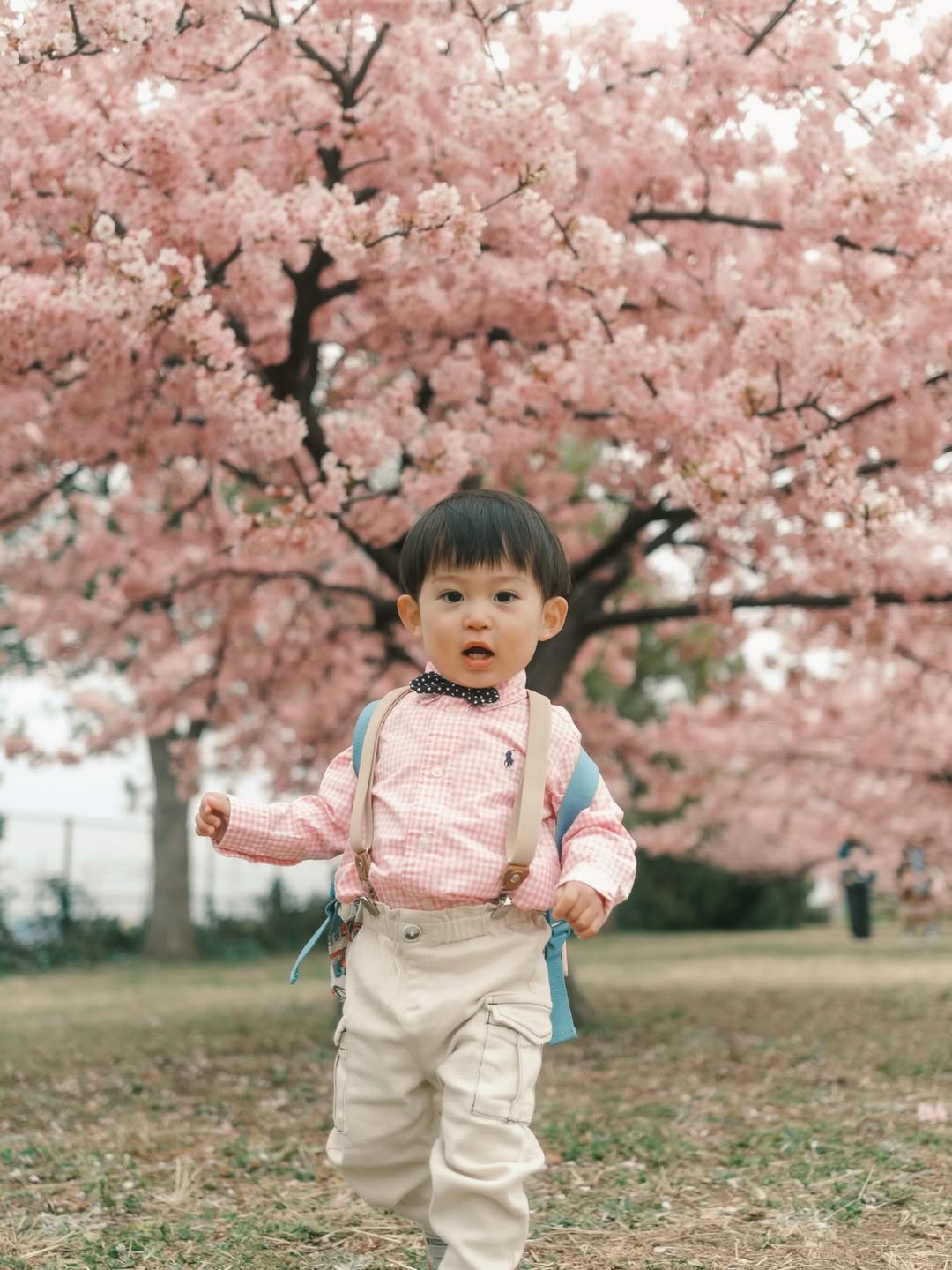 細微時刻，大大愛意：與Misawa一起記錄埼玉家庭故事