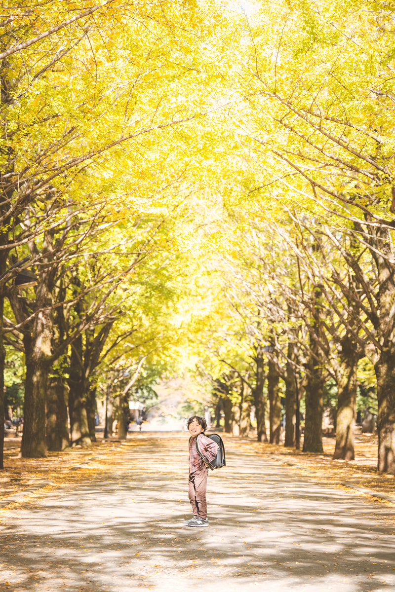 2024年11月8日 | 東京代代木公園 | Mai 秋季紅葉撮影會