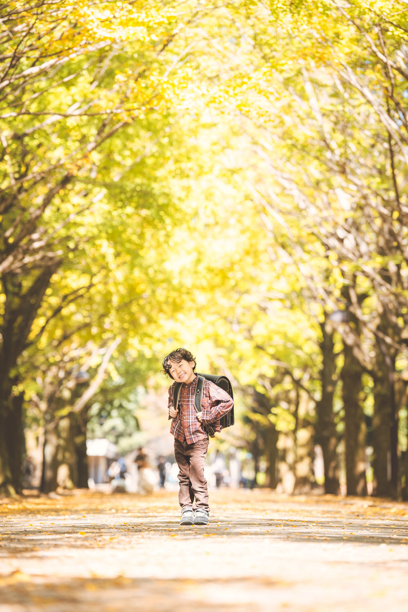 2024年11月8日 | 東京代代木公園 | Mai 秋季紅葉撮影會