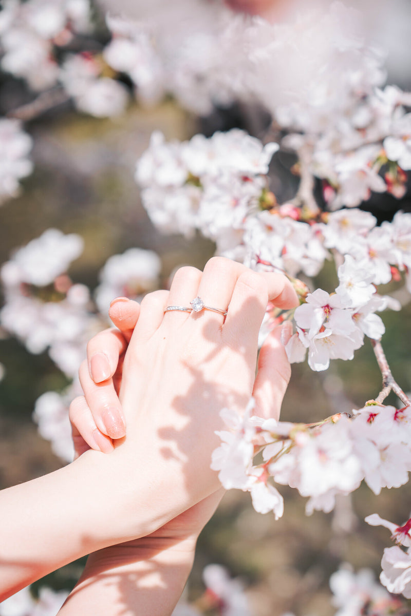 京都求婚驚喜：YOS 打造難忘回憶