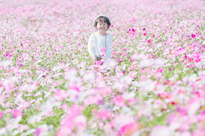 2024年10月15-17日 | 東京昭和紀念公園 | Mai 秋季紅葉撮影會