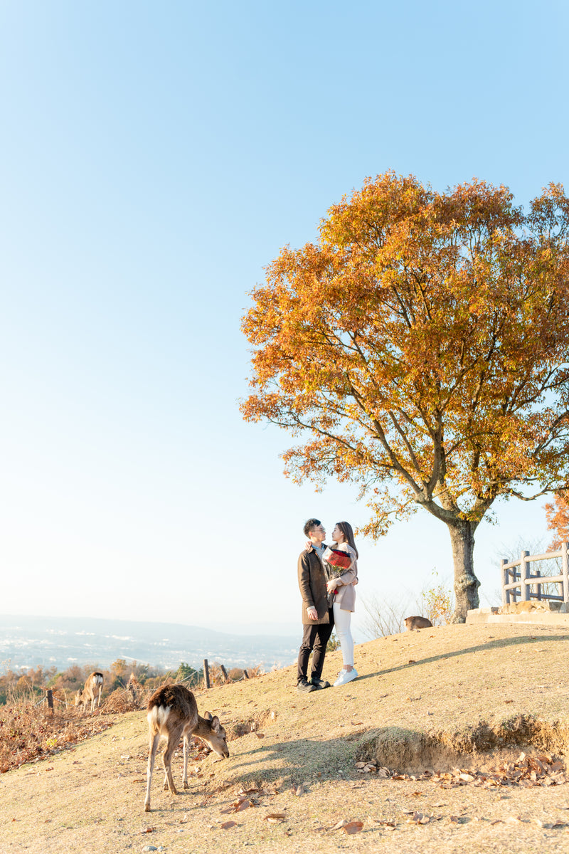 在奈良鹿公園捕捉完美求婚：愛情綻放於 Aiko 的鏡頭下