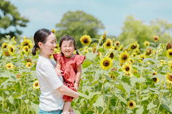 Misa在大阪服部綠地公園的向日葵家庭攝影