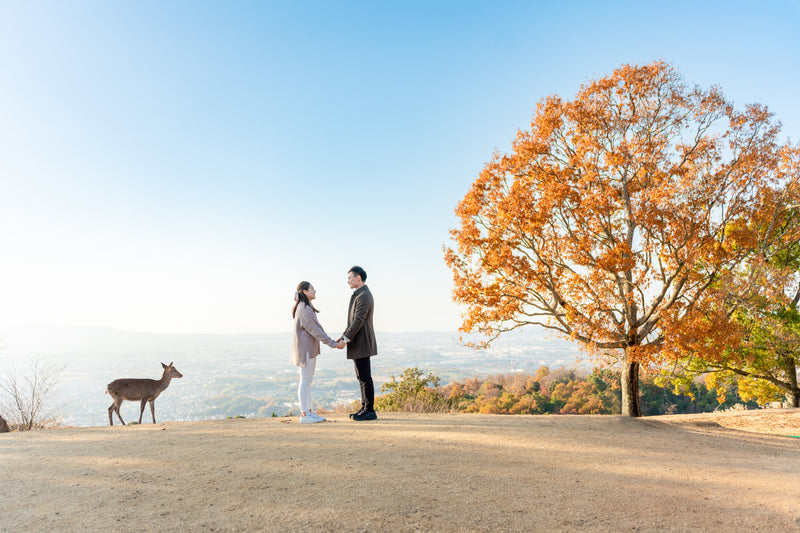 在奈良鹿公園捕捉完美求婚：愛情綻放於 Aiko 的鏡頭下