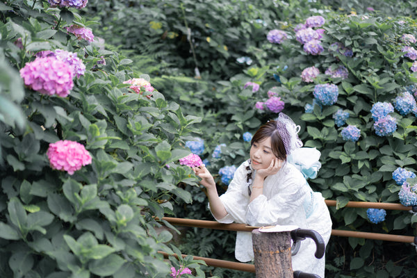 東京繡球花攝影 | 飛鳥公園專業服務
