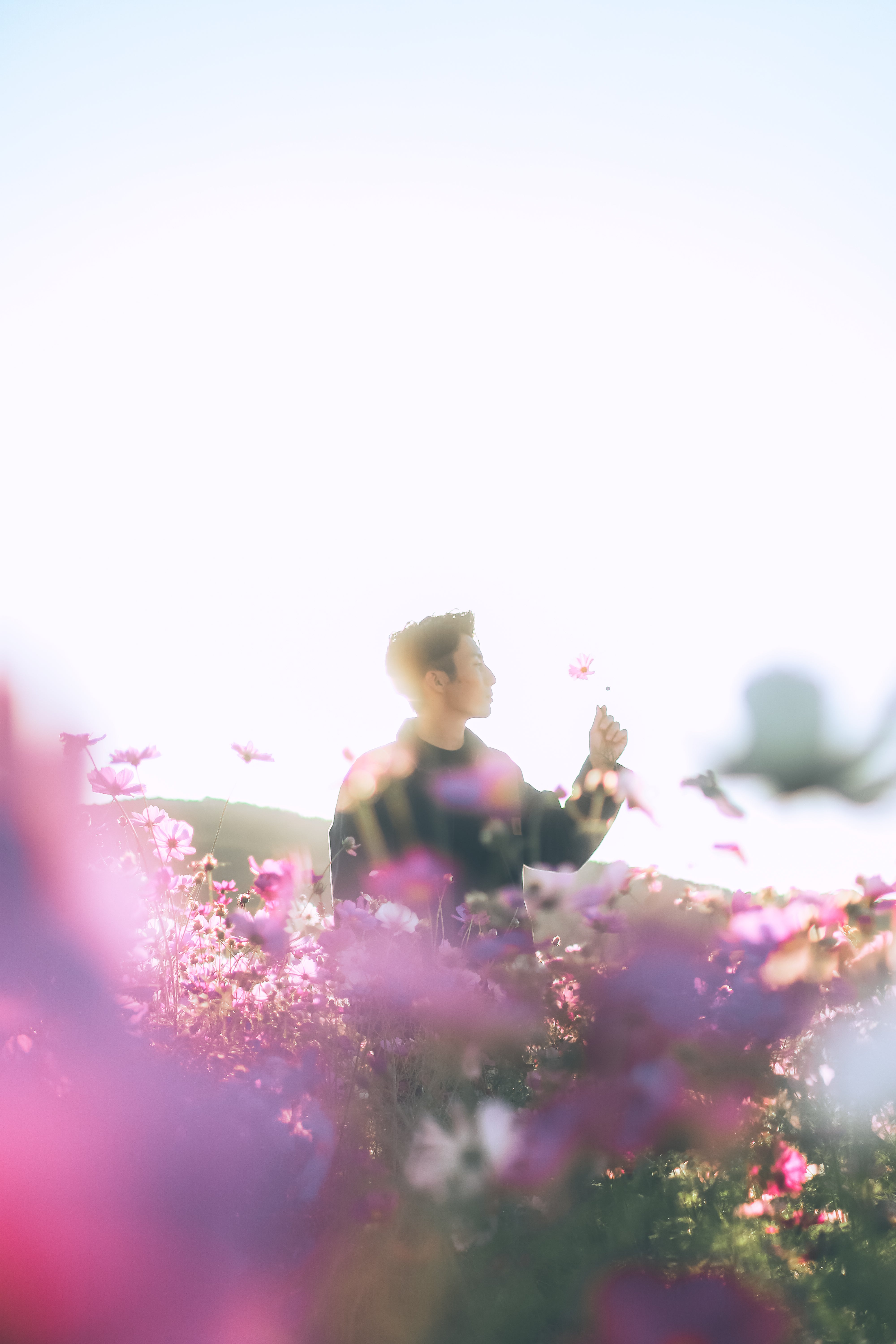 大分三光花園一小時攝影：種下難忘回憶種子