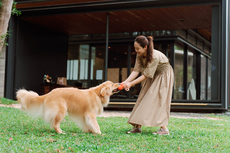 [FREE Translucent Polaroid] Siu Tim x Leo Yuen Special: Pawfect Tail-Wagging Moments in Sai Kung