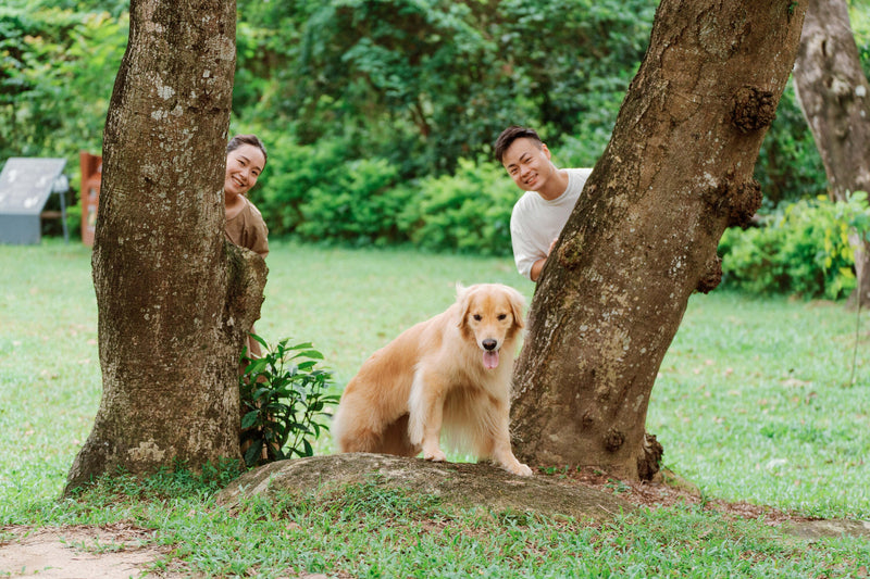 [FREE Translucent Polaroid] Siu Tim x Leo Yuen Special: Pawfect Tail-Wagging Moments in Sai Kung