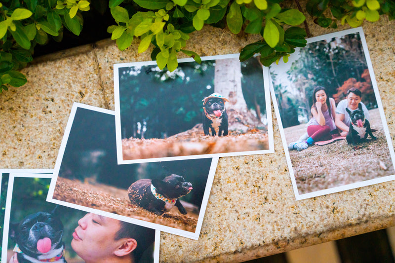 Timeless White-Border Photo Prints