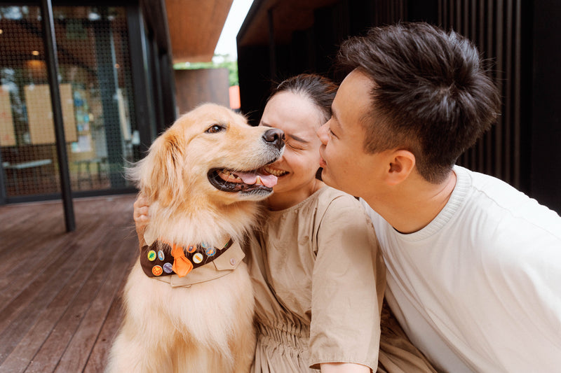 [FREE Translucent Polaroid] Siu Tim x Leo Yuen Special: Pawfect Tail-Wagging Moments in Sai Kung