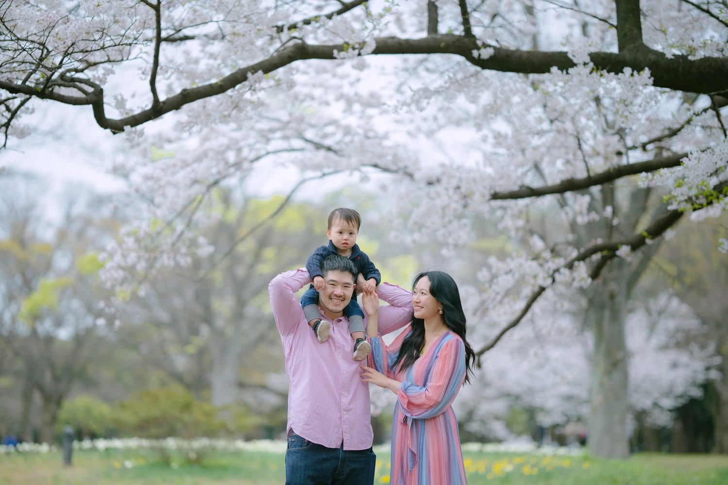 想留下最美的東京河津櫻家庭照？找Mimi就對了！