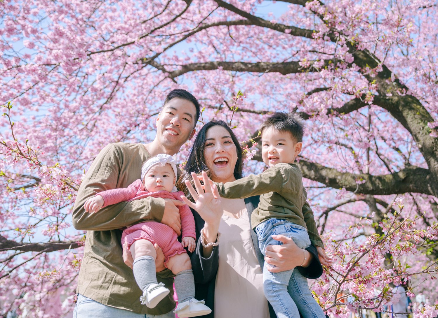想留下最美的東京河津櫻家庭照？找Mimi就對了！