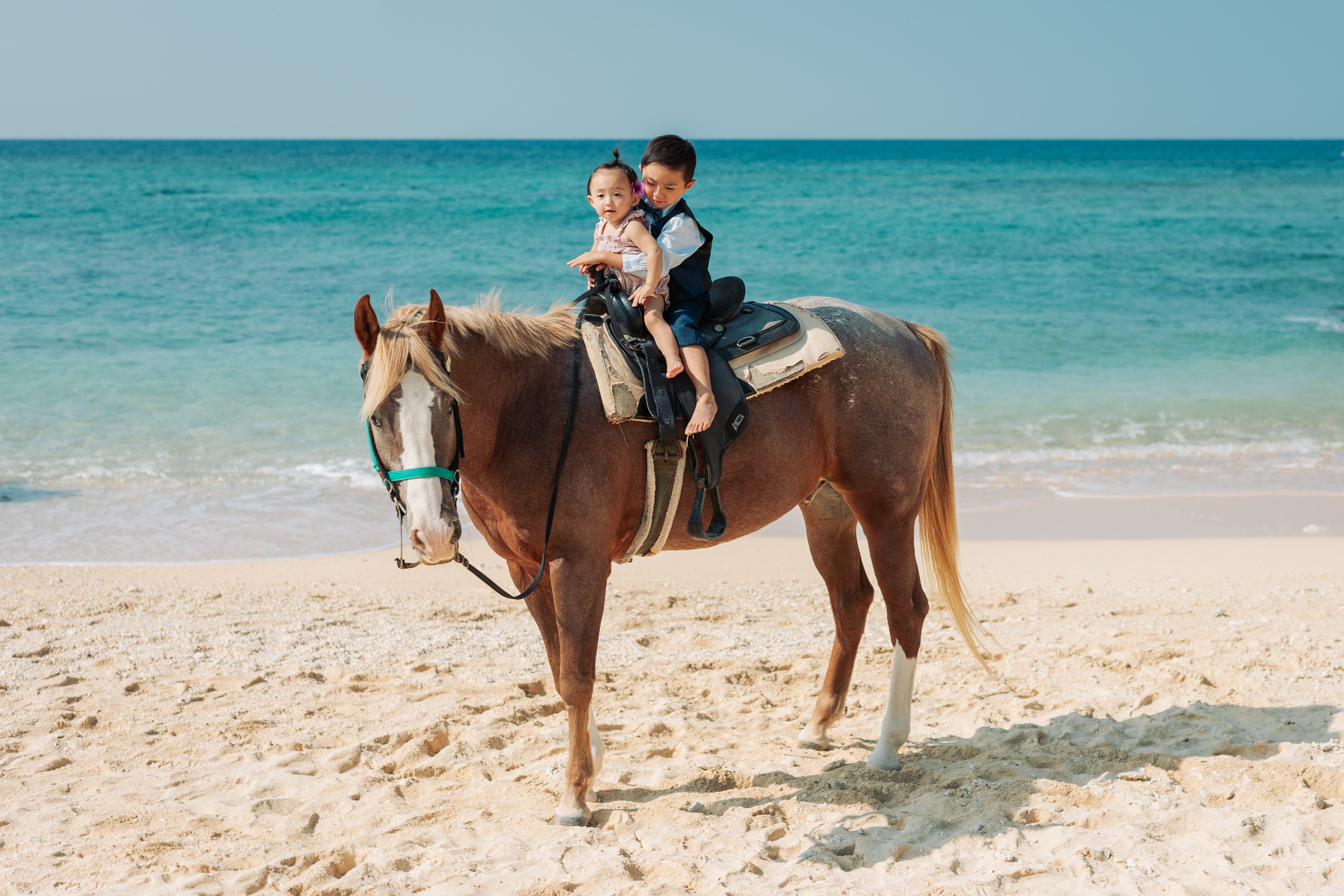 Unforgettable Family Photoshoot
