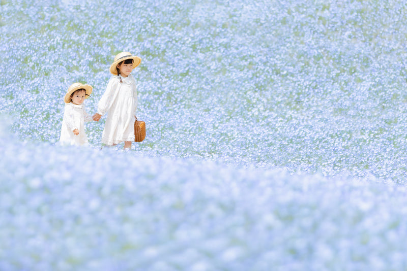 岐阜世界玫瑰花園攝影 | 日本花卉攝影