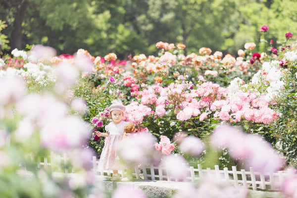 岐阜世界玫瑰園家庭攝影 | 日本春季拍攝 