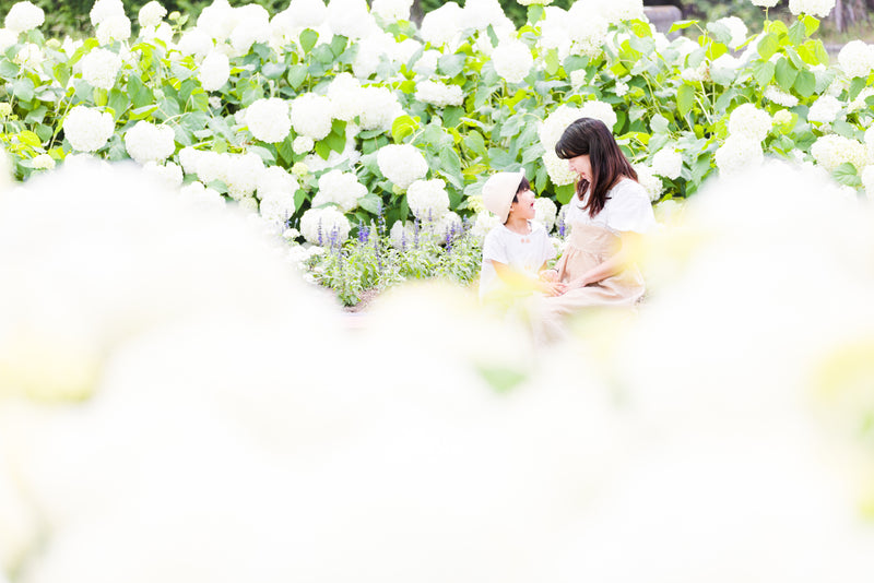 日本花季攝影 | 名古屋專業家庭攝影