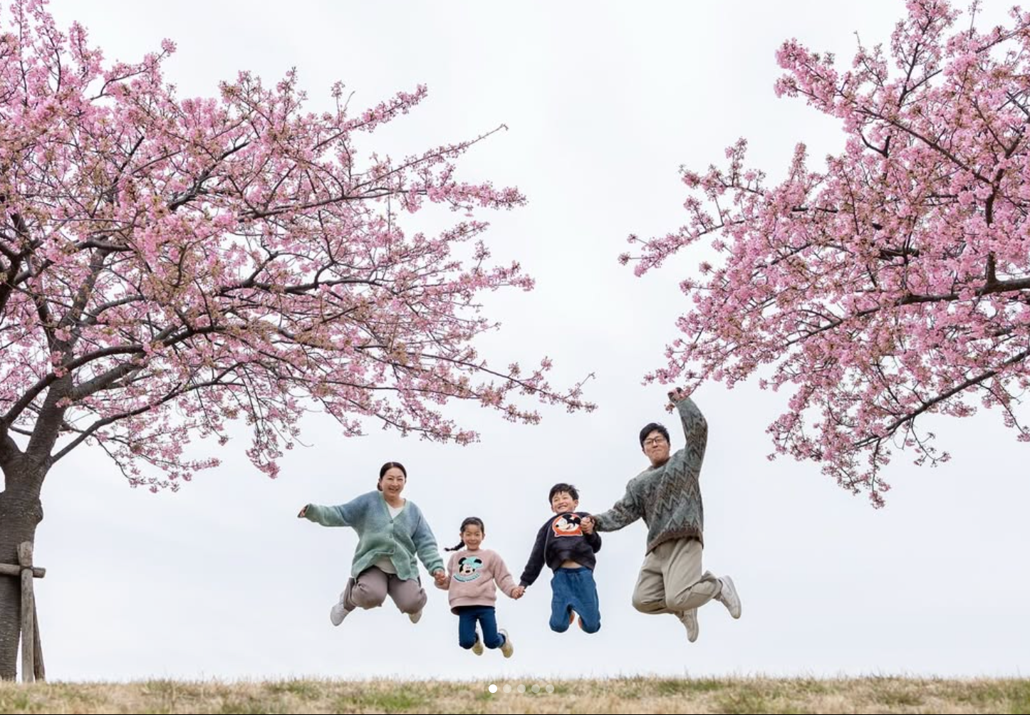 東京精彩瞬間：Chi 戶外家庭攝影體驗