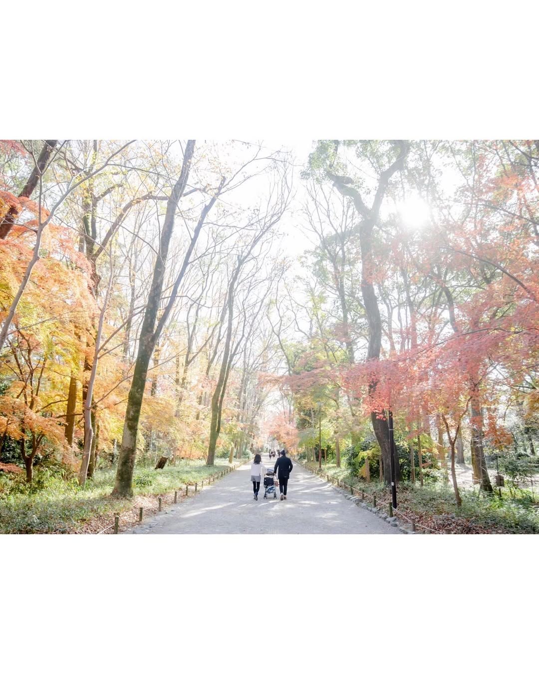 在京都留住家的溫度 : Tatsu 的家庭攝影體驗