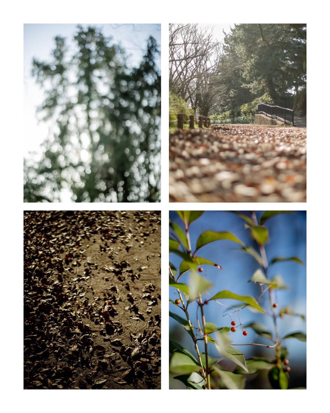 在京都留住家的溫度 : Tatsu 的家庭攝影體驗