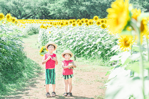 向日葵寶藏：東京昭和紀念公園Mai家庭攝影體驗