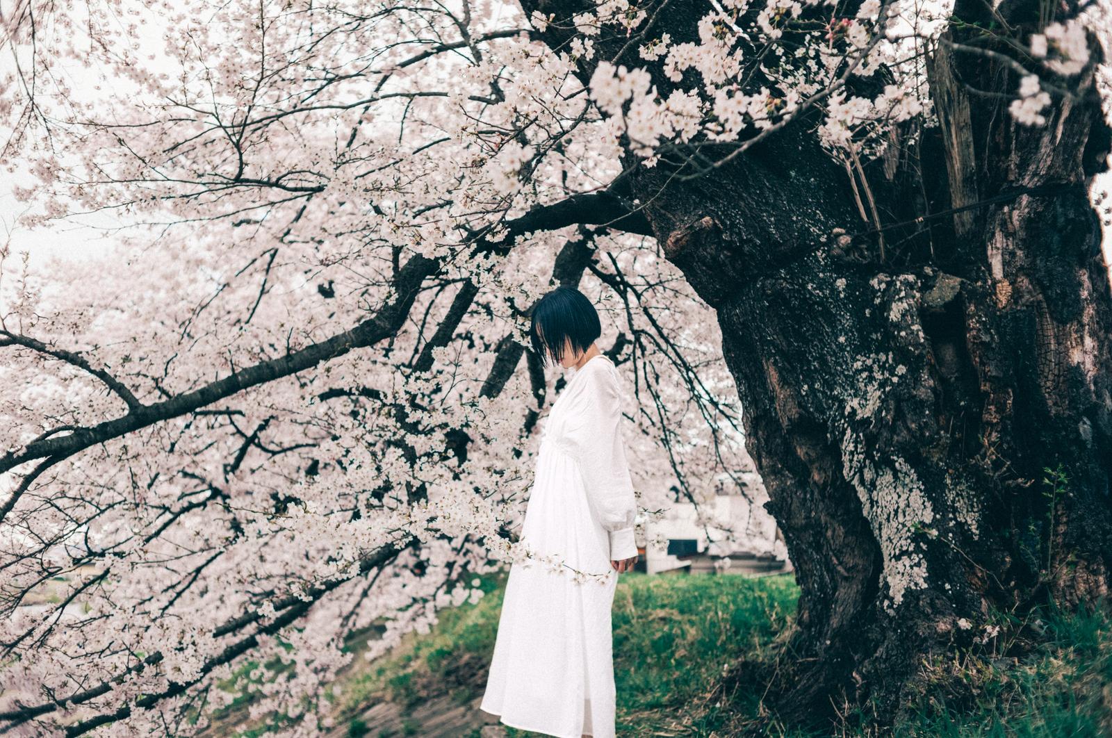 永恆的開始：Toshi 的仙台求婚攝影體驗