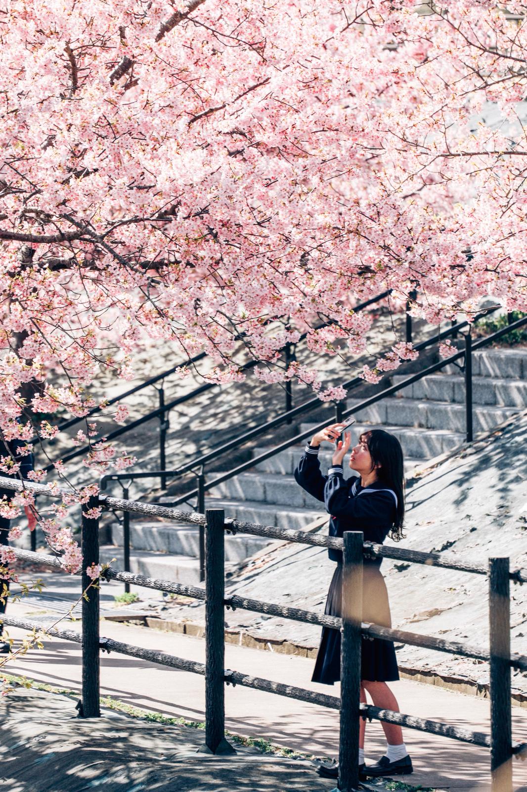 永恆的開始：Toshi 的仙台求婚攝影體驗