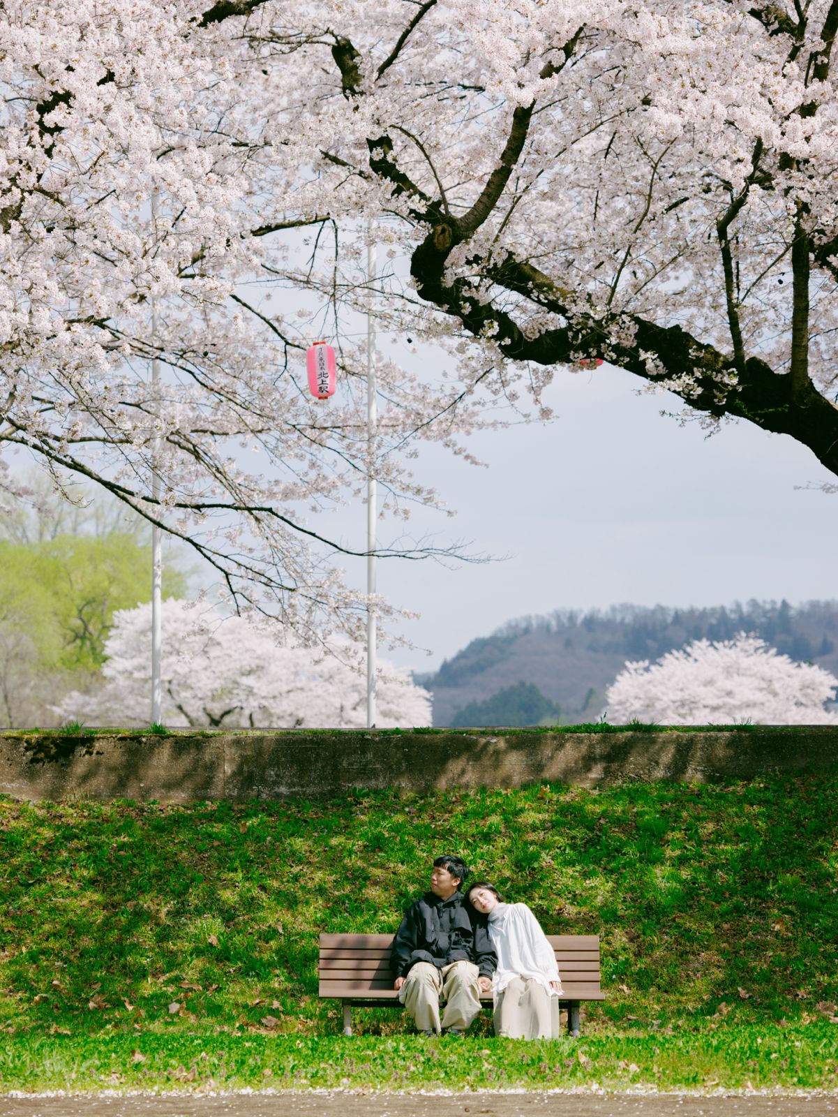 在台灣街頭談一場戀愛：由 Frank 捕捉你們的甜蜜日常