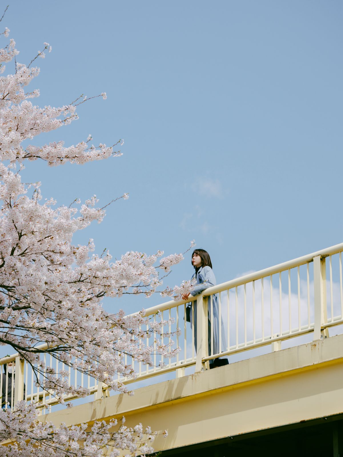 把台灣的日常變成回憶：Frank 為你記錄每一刻