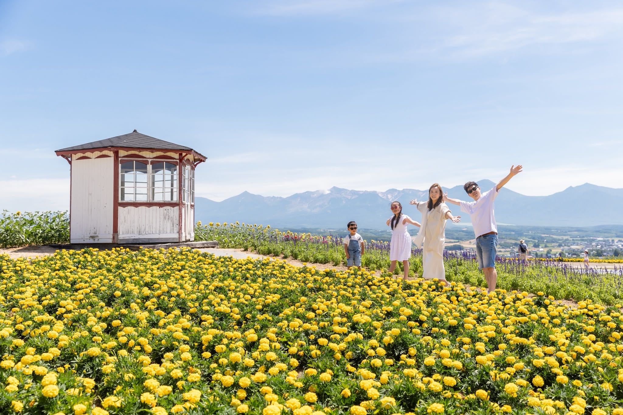 在北海道繽紛花海中，珍藏屬於家的幸福時光：Yuko 溫柔記錄